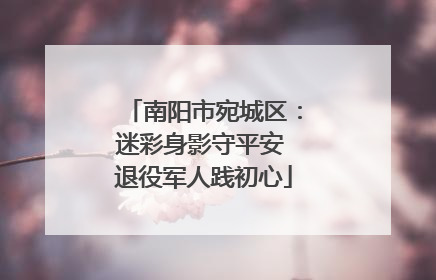 南阳市宛城区：迷彩身影守平安 退役军人践初心