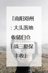 南阳邓州：大头落地 收储归仓丨战三夏保丰收