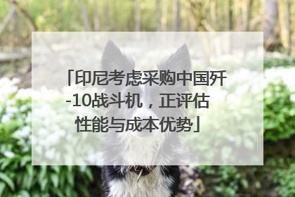 印尼考虑采购中国歼-10战斗机，正评估性能与成本优势