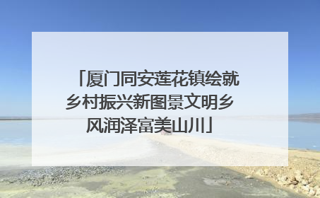 厦门同安莲花镇绘就乡村振兴新图景文明乡风润泽富美山川