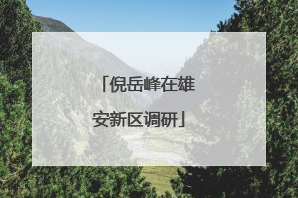 倪岳峰在雄安新区调研