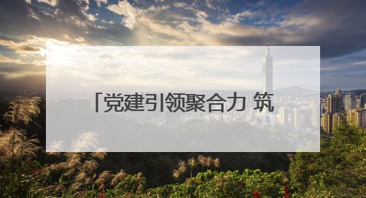 党建引领聚合力 筑牢安全“防火墙”
