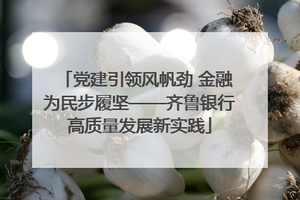 党建引领风帆劲 金融为民步履坚——齐鲁银行高质量发展新实践