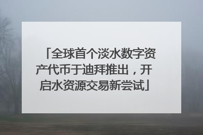 全球首个淡水数字资产代币于迪拜推出，开启水资源交易新尝试