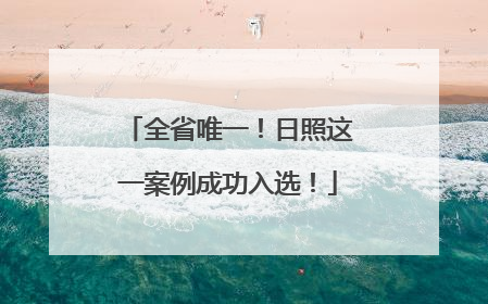 全省唯一！日照这一案例成功入选！