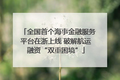 全国首个海事金融服务平台在浙上线 破解航运融资“双重困境”