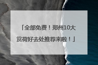 全部免费！郑州10大赏荷好去处推荐来啦！