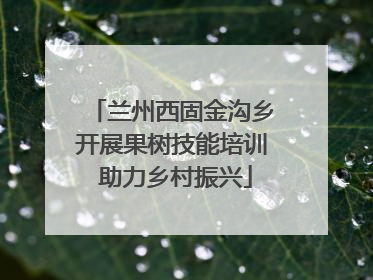 兰州西固金沟乡开展果树技能培训 助力乡村振兴