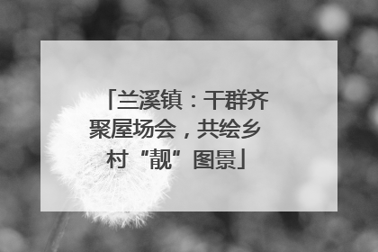 兰溪镇：干群齐聚屋场会，共绘乡村“靓”图景