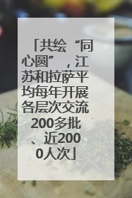 共绘“同心圆”，江苏和拉萨平均每年开展各层次交流200多批、近2000人次