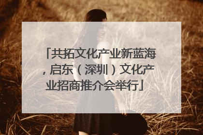 共拓文化产业新蓝海，启东（深圳）文化产业招商推介会举行