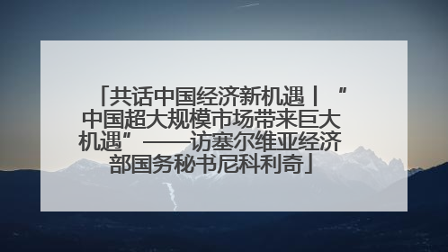 共话中国经济新机遇丨“中国超大规模市场带来巨大机遇”——访塞尔维亚经济部国务秘书尼科利奇