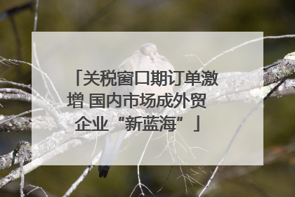 关税窗口期订单激增 国内市场成外贸企业“新蓝海”