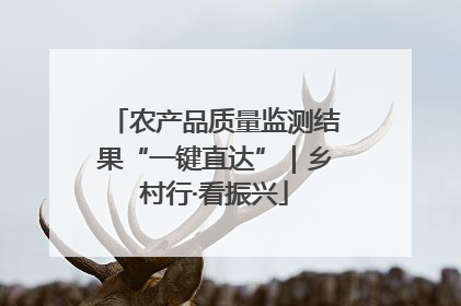 农产品质量监测结果“一键直达”｜乡村行·看振兴