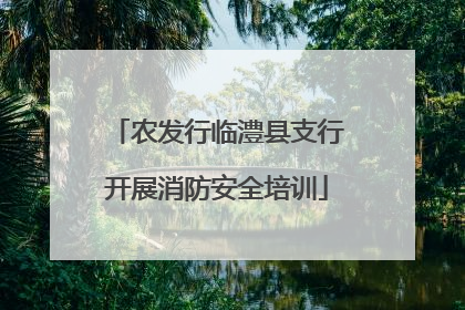 农发行临澧县支行开展消防安全培训