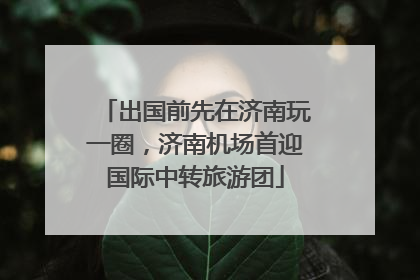 出国前先在济南玩一圈，济南机场首迎国际中转旅游团