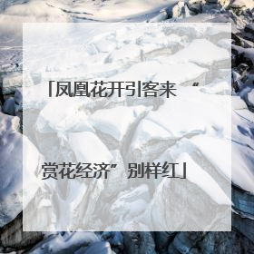 凤凰花开引客来 “赏花经济”别样红