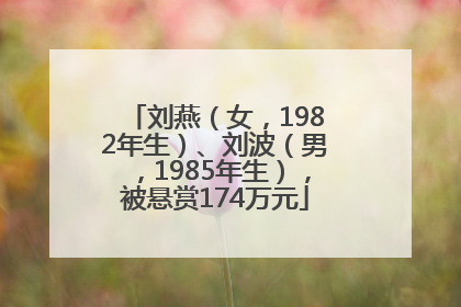 刘燕（女，1982年生）、刘波（男，1985年生），被悬赏174万元