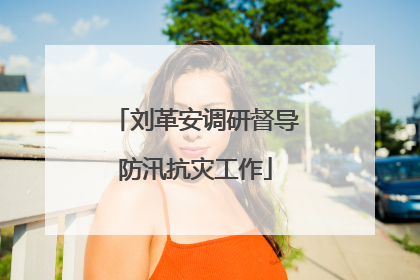 刘革安调研督导防汛抗灾工作