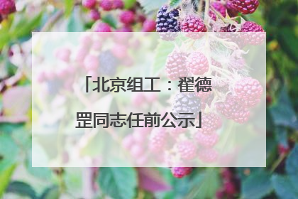 北京组工：翟德罡同志任前公示