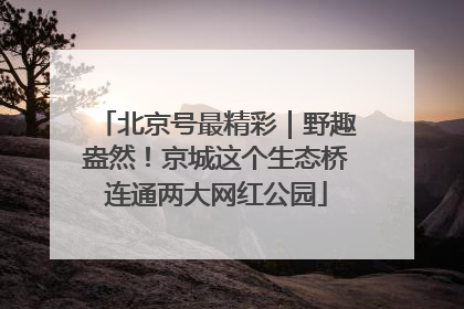 北京号最精彩｜野趣盎然！京城这个生态桥连通两大网红公园