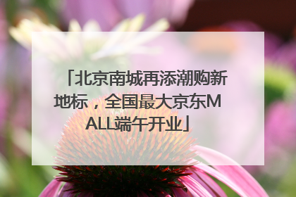 北京南城再添潮购新地标，全国最大京东MALL端午开业