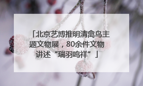 北京艺博推明清禽鸟主题文物展，80余件文物讲述“瑞羽鸣祥”