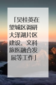 吴桂英在望城区调研大泽湖片区建设、文科旅医融合发展等工作