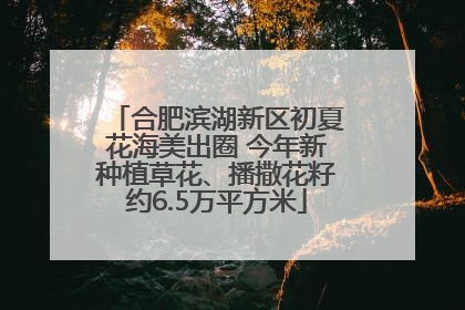 合肥滨湖新区初夏花海美出圈 今年新种植草花、播撒花籽约6.5万平方米