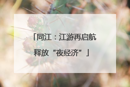 同江：江游再启航 释放“夜经济”