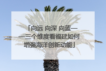 向远 向深 向蓝——三个维度看福建如何增强海洋创新动能