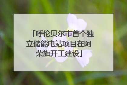 呼伦贝尔市首个独立储能电站项目在阿荣旗开工建设