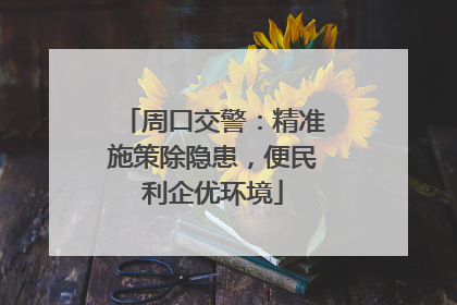 周口交警：精准施策除隐患，便民利企优环境