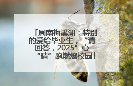 周南梅溪湖：特别的爱给毕业生，“请回答，2025”心“晴”跑燃爆校园
