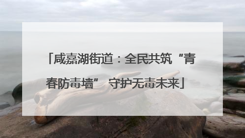 咸嘉湖街道：全民共筑“青春防毒墙” 守护无毒未来