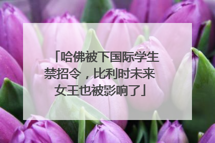 哈佛被下国际学生禁招令，比利时未来女王也被影响了