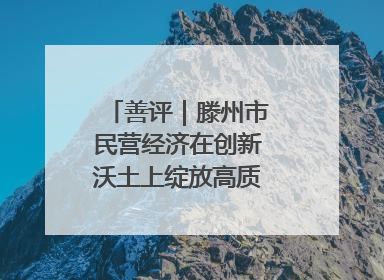 善评｜滕州市民营经济在创新沃土上绽放高质量发展之花