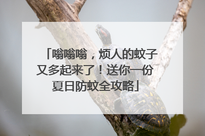 嗡嗡嗡，烦人的蚊子又多起来了！送你一份夏日防蚊全攻略