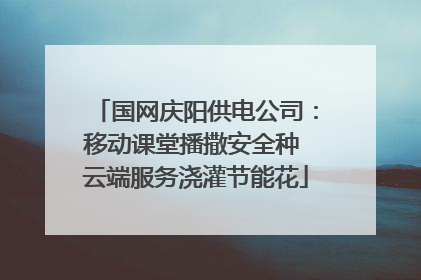 国网庆阳供电公司：移动课堂播撒安全种 云端服务浇灌节能花