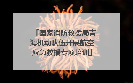 国家消防救援局青海机动队伍开展航空应急救援专项培训