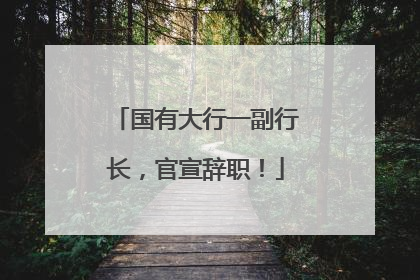 国有大行一副行长，官宣辞职！