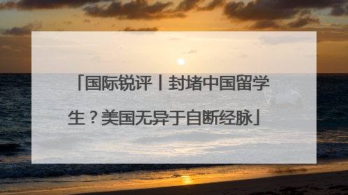 国际锐评丨封堵中国留学生？美国无异于自断经脉