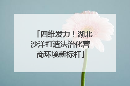 四维发力！湖北沙洋打造法治化营商环境新标杆