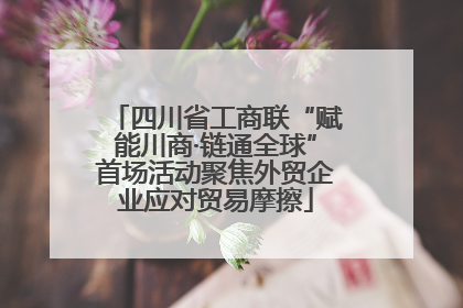 四川省工商联“赋能川商·链通全球”首场活动聚焦外贸企业应对贸易摩擦