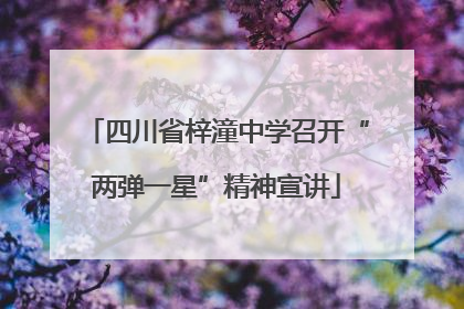 四川省梓潼中学召开“两弹一星”精神宣讲