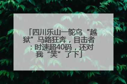 四川乐山一鸵鸟“越狱”马路狂奔，目击者：时速超40码，还对我“笑”了下