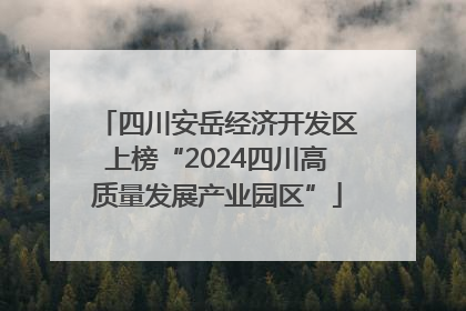 四川安岳经济开发区上榜“2024四川高质量发展产业园区”