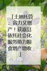 土地托管、省力又增产！获嘉县依托社会化服务助力粮食增产增收