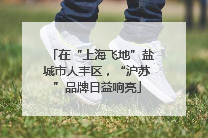 在“上海飞地”盐城市大丰区，“沪苏”品牌日益响亮