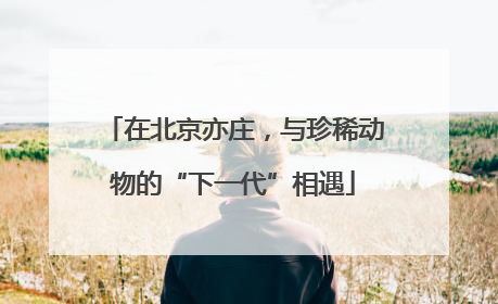 在北京亦庄，与珍稀动物的“下一代”相遇